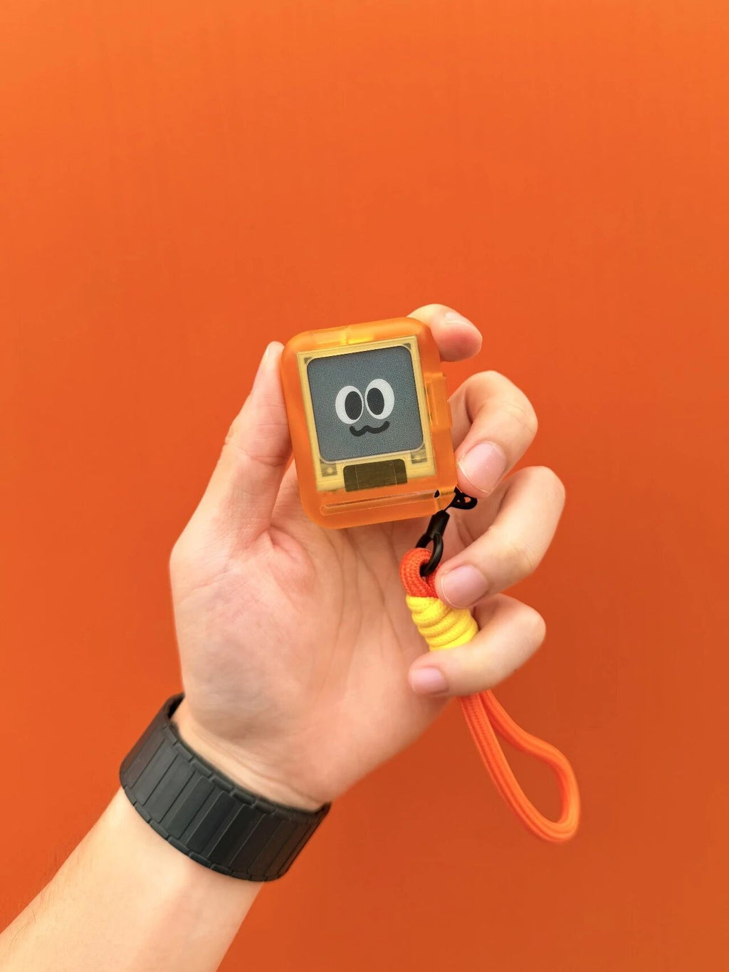 Rand/0 PocketProphet™ — Pocket Decision Engine with E-Paper Display