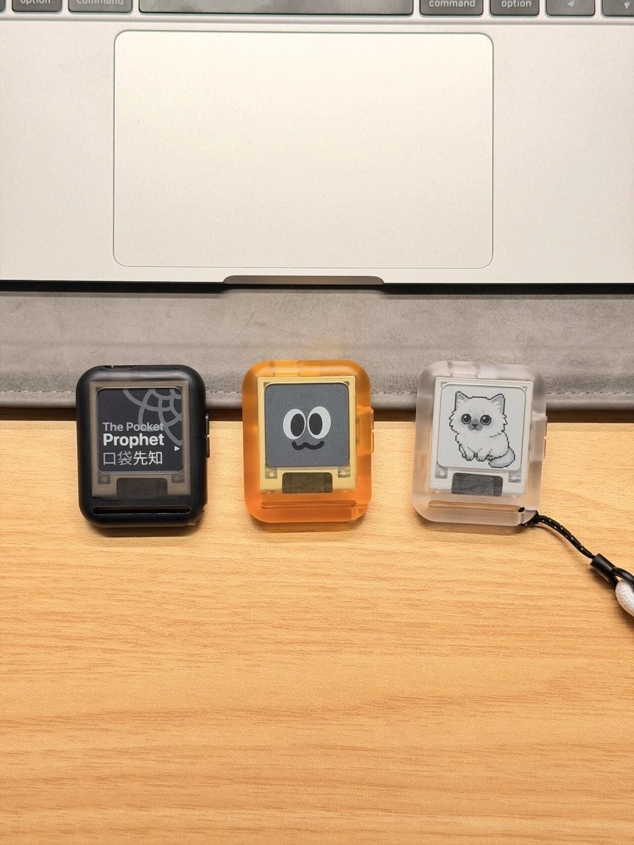 Rand/0 PocketProphet™ — Pocket Decision Engine with E-Paper Display